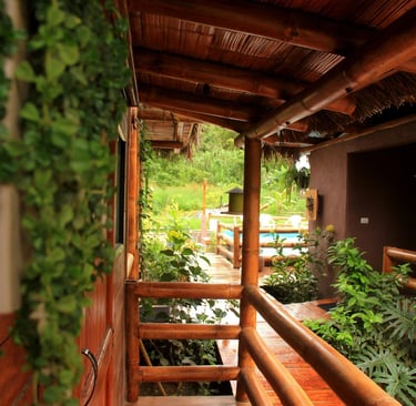 mindo-naturaleza-bicok-hospedaje