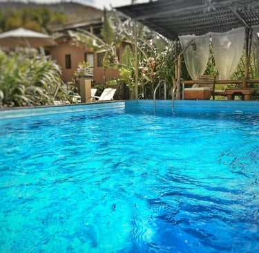 mindo-naturaleza-bicok-hospedaje