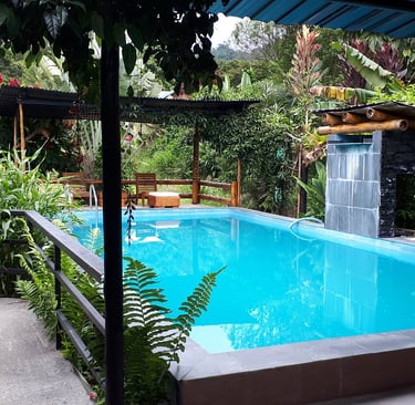 mindo-naturaleza-bicok-hospedaje