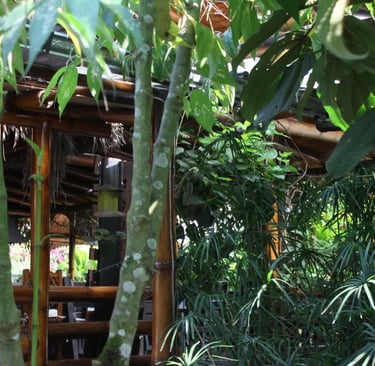 mindo-naturaleza-bicok-hospedaje