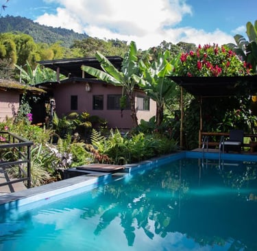 mindo-naturaleza-bicok-hospedaje