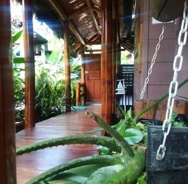 mindo-naturaleza-bicok-hospedaje