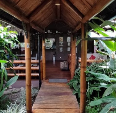 mindo-naturaleza-bicok-hospedaje