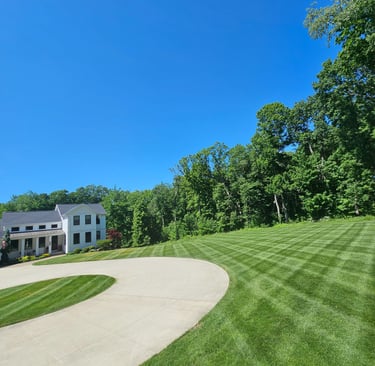 Happy Customer's beautifully maintained lawn