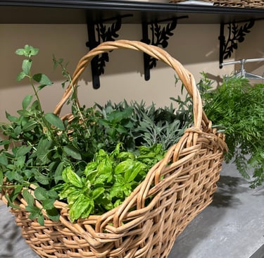 Freshly harvested herbs sitting in a basket