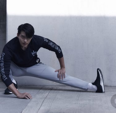 Hyun Bin giro dorama