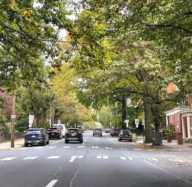Fall leaves and trees on the road of downtown Lancaster, Pennsylvania