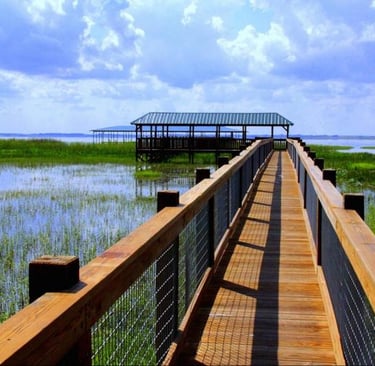 Central Florida Everglades