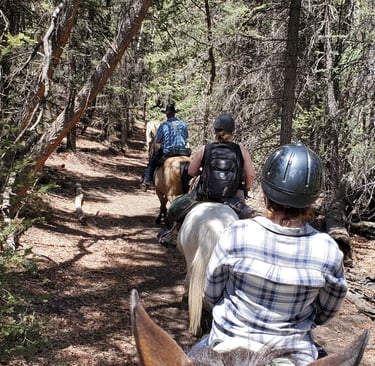 a group of people riding horses down a trail