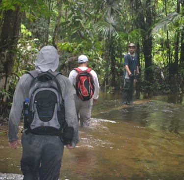 tres homens caminhando dentro de um riacho com floresta em volta