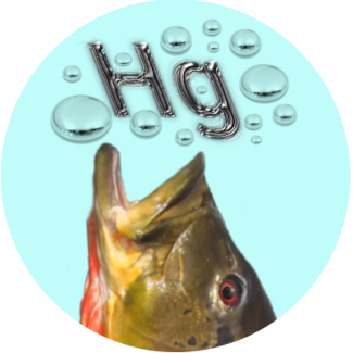 logo projeto mercúrio, Hg nos peixes