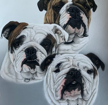 Pet portrait commission