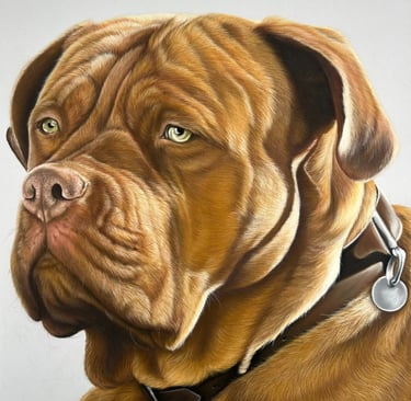 Realistisch dierenportret laten maken