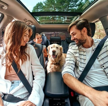 vacances avec son chien