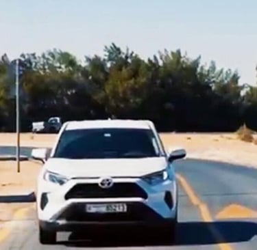 smart gates on Dubai