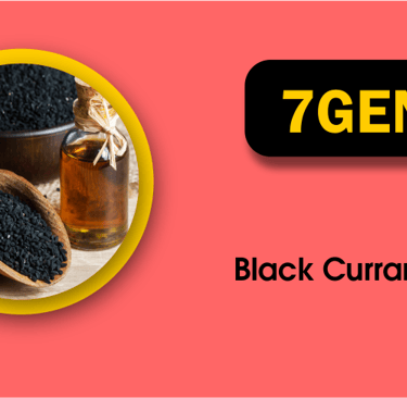 Start Black Currant Oil Business