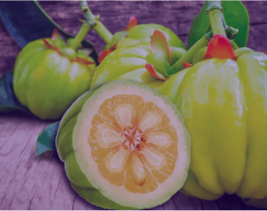 garcinia-cambogia-private-label-manufacturing