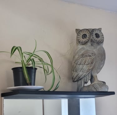 accéder au formulaire d'inscription et estimer le poids du hibou