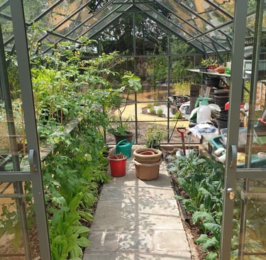 Photo of a garden design in Cheshire by Jon Pilling looking through a greenhouse filled with plants