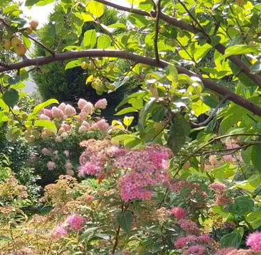 The bough of a tree over lush planting by garden designer Jon Pilling of The Intrinsic Link
