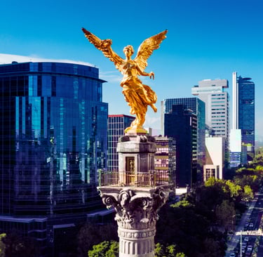 Técnica Alexander México