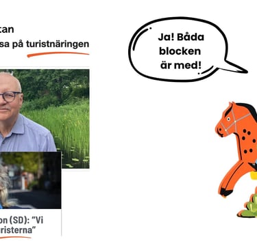 Hedemoras politiker