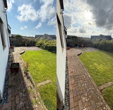 garden transformation