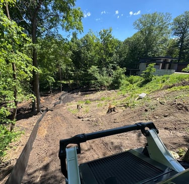 land-clearing-on-residential-property.jpg