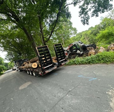 tree-trunk-being-removed.jpg