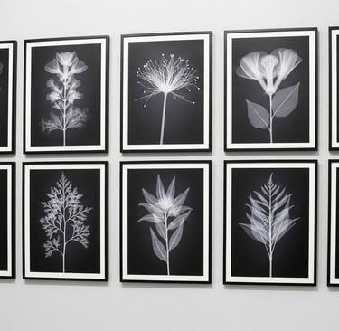 x ray floral prints on wall