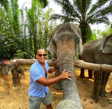 Carinho no elefante em um santuário ético na Tailândia