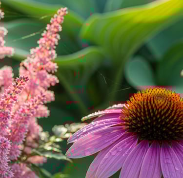 a bee on a flower in a garden