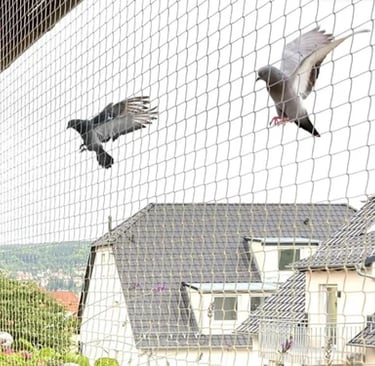 Bird Netting_25/03/25