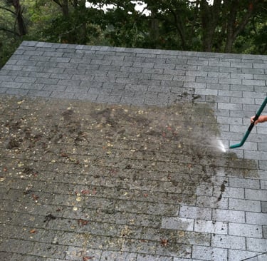 Nettoyage professionnel de toiture pour maisons de vacances à Lorient