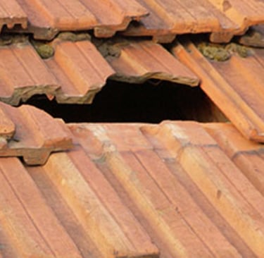 Détection de fuite de toiture avec équipement spécialisé à Lorient