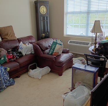 RevampT Spaces Organized Den Before -Tina Wilmhoff -RevampT Spaces Organizing Services