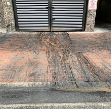 Dumpster pad cleaning service in Tacoma WA, using heated pressure washer