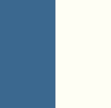 VISUEL 2 COULEURS FOND SITE