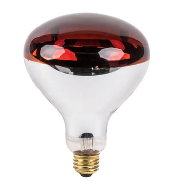 R125 heat bulb heating lamp
