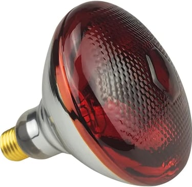 top red Br38 heat bulb