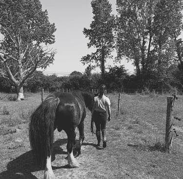 équithérapeute qui marche à côté d'un cheval pour une séance d'équithérapie