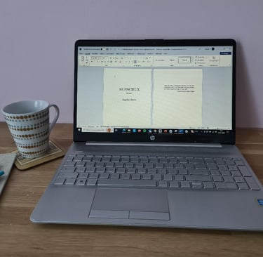 écriture, roman, Silencieux de Sophie Stern, écrivaine