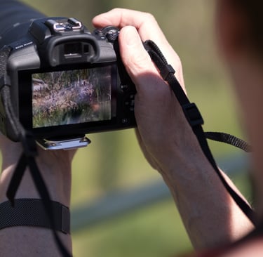Wolf in der Langen Erle Basel Fotografiert von Kursteilnehmerin der Fotografie Akademie