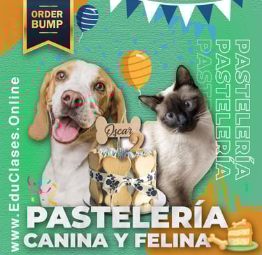 Curso de Pastelería Canina y Felina