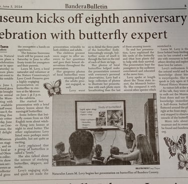Bandera Bulletin