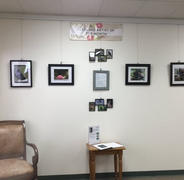 Bandera Library Show