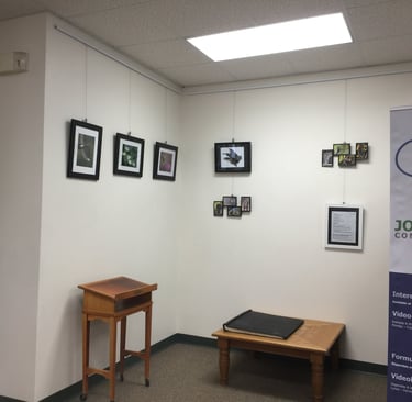 Bandera Library Show