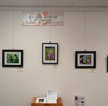 Bandera Library Show 2024