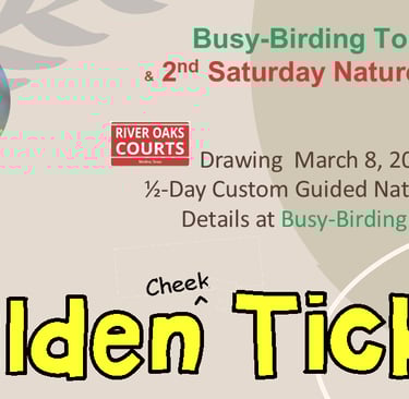golden ticket