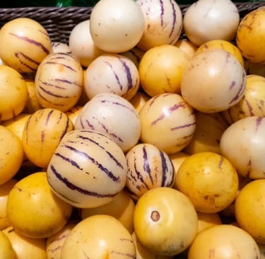 Solanum Muricatum Ripening Room